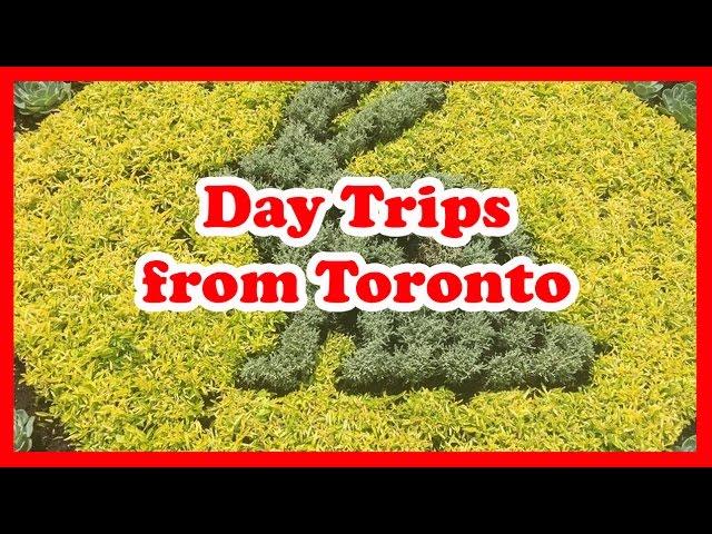 5 Top-Rated Day Trips from Toronto, Ontario | Canada Day Trips