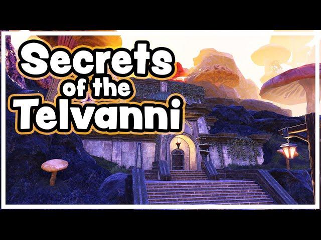 Necrom Celebration Event Guide! Secrets of the Telvanni - drops, tickets, & that FREE HOUSE!