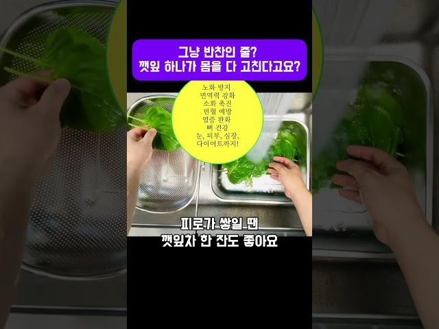그냥 반찬인 줄? 깻잎 하나가 몸을 다 고친다고요? #깻잎효능 #건강채소 #다이어트식단