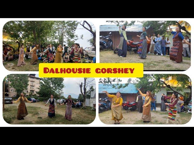 Dalhousie Tibetan gorshey #tibetanvlogger #tibetan #gorshey #tibetanculture