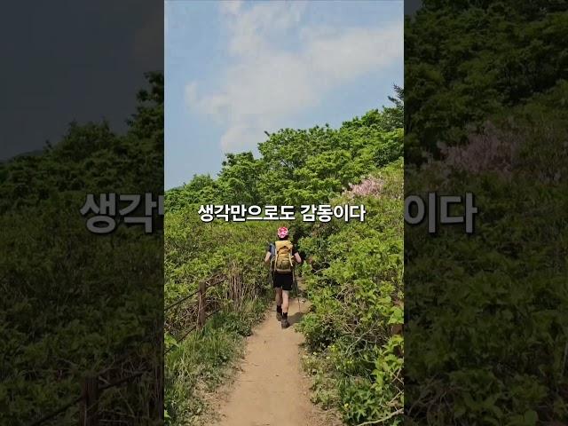 #지리산국립공원 #연초록 #숲속산책 #숲 #여행그리기 #포토존 #travel #풍경그림 #트레킹 #국내여행 #걷기여행 #걷기좋은곳