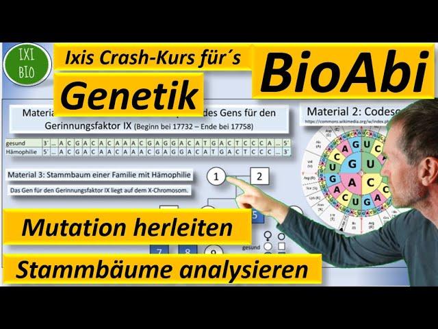 Genetik Anwendungsaufgabe AFB II: Art der Mutation herleiten / Stammbaum analysieren - BioAbi 2023