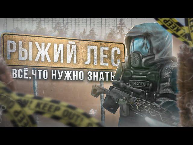 Основы новичка: Рыжий Лес - СТАЛКРАФТ | STALCRAFT