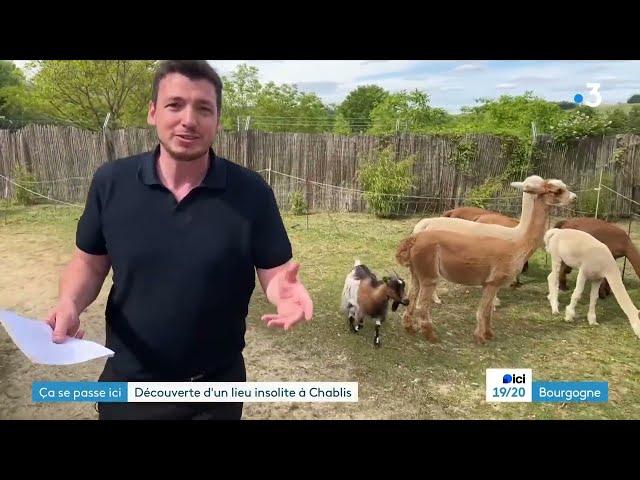 Ça se passe ici - à Chablis (Yonne) : le boom des logements insolites