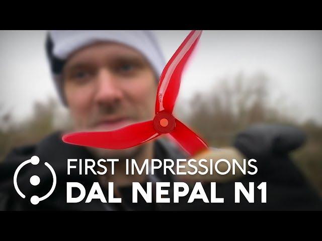 DALPROP Nepal N1 First Impressions