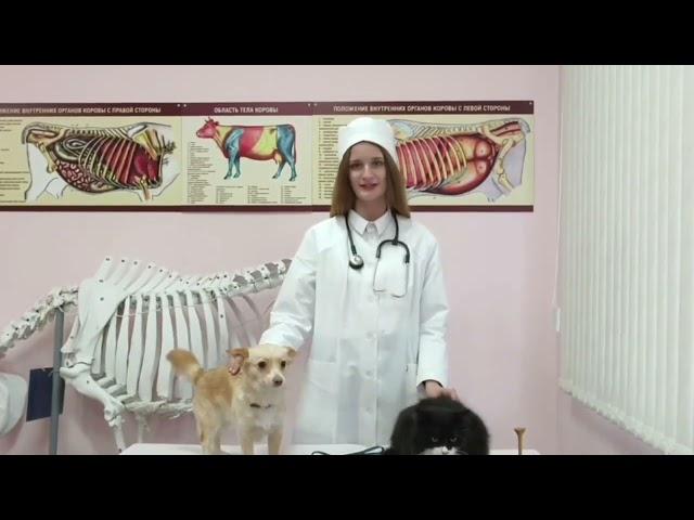 Анастасия Кравцова