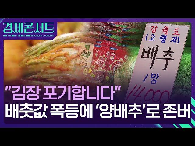 “김장 김치 포기 못해”…배추·무 할인 들어갑니다 [경제콘서트] / KBS  2024.11.07.