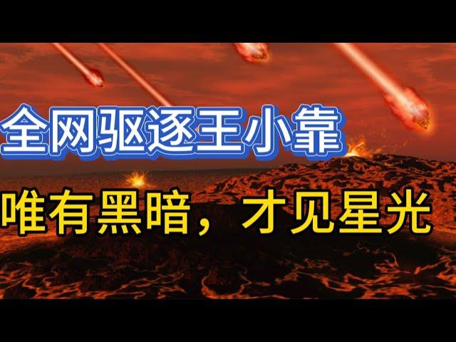 哈里斯败选演说：唯有黑暗，才见星光；全网驱逐王小靠；20241108-2