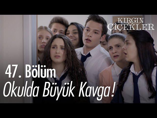 Büyük kavga! - Kırgın Çiçekler 47. Bölüm