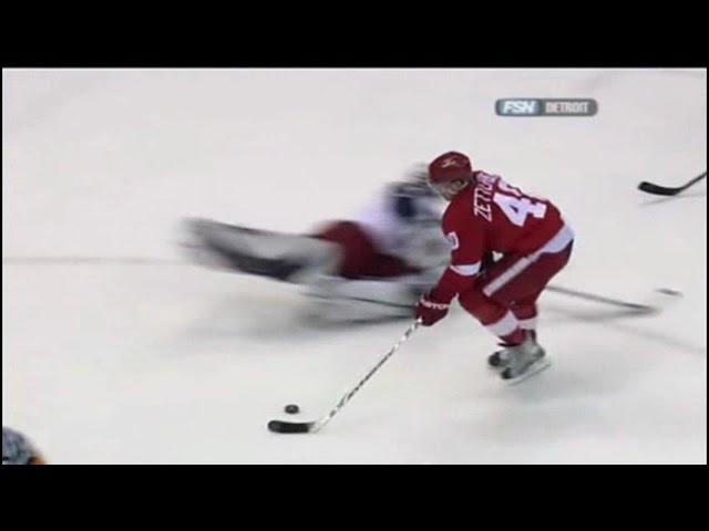 Henrik Zetterberg Goals (2007-2008)