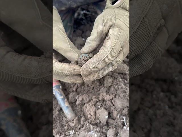 #metaldetecting #metalldetektion #metalldetektor #sondeln #funny #memes #schatzsuche