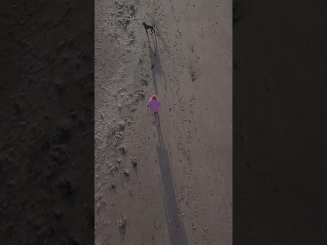 lonley ladie walking her dog on a deserted beach ️