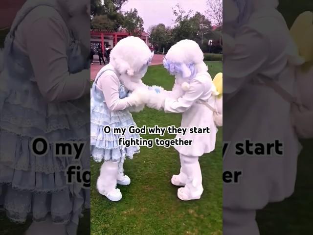 O My God why they start fighting together?? #furry #costume #tiktok #tiktoktrend #shorts #cats