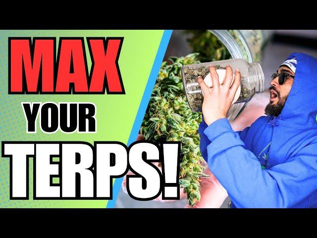 Use THIS Drying Method after Harvest for MAX TASTE and FLAVOR!