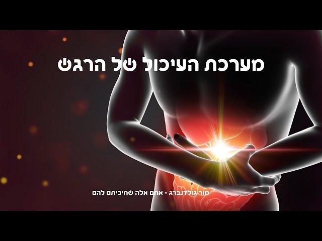 מערכת העיכול של הרגש