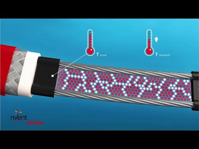 RAYCHEM Self Regulating Heating Cable (English)