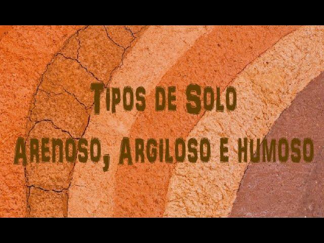 Tipos de Solo