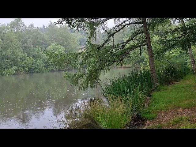 Consall Nature Reserve small pool part 1