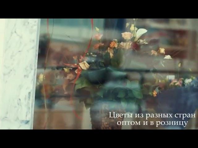 В Пятигорске открылся новый магазин цветов