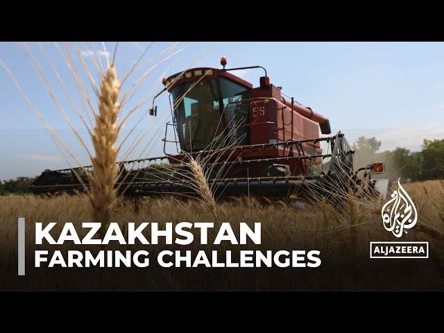 Kazakhstan's agricultural challenges: Govt introduces initiatives to increase grain exports