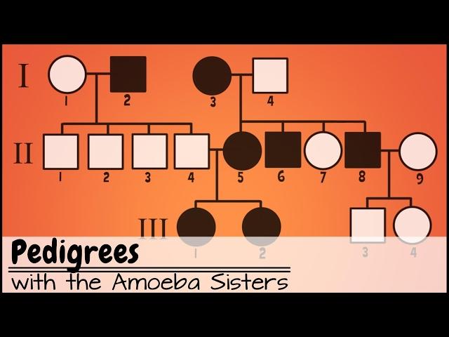 Pedigrees