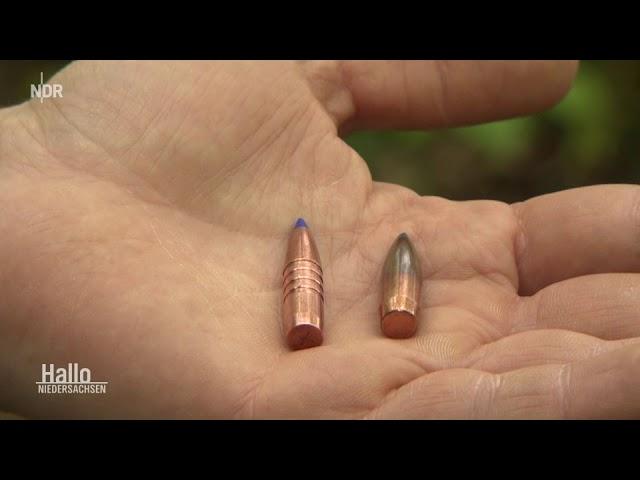 Jagdgesetz: Diskussion um bleifreie Munition NDR Hallo Niedersachsen