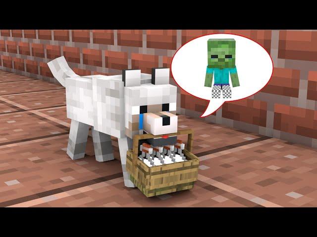 The Dog Finds Food For Baby Zombie - Minecraft Animation