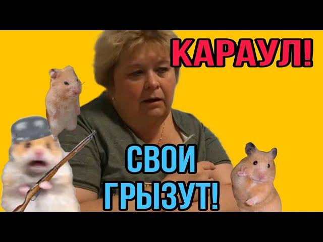 ХОМЯКИ ГРЫЗУТ УРАЛОЧКУ. ОЛЬГА УРАЛОЧКА LIVE. ОЛЬГА УРАЛОЧКА LIVE.