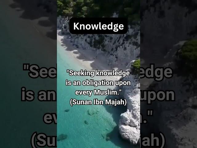 Seek Knowledge  - Daily islamic reminder