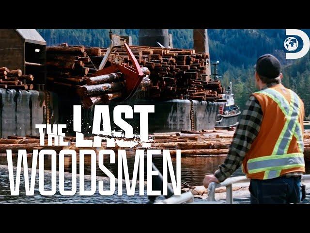 Massive Trees, Big Risks | The Last Woodsmen | Discovery