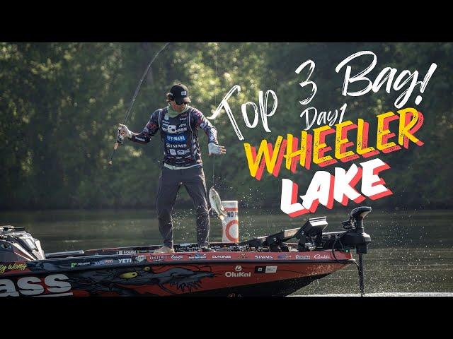 Top 3 Bag on Wheeler Lake AL!!!