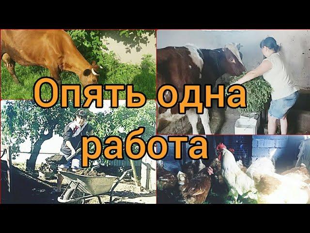 Будни маленькой фермы . Мотивация на работу