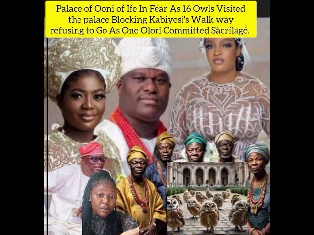 16 Owls Visited palace Blocking Kabiyesi's Walk way refusing to Go As One Olori Committed Sàcrílagé.