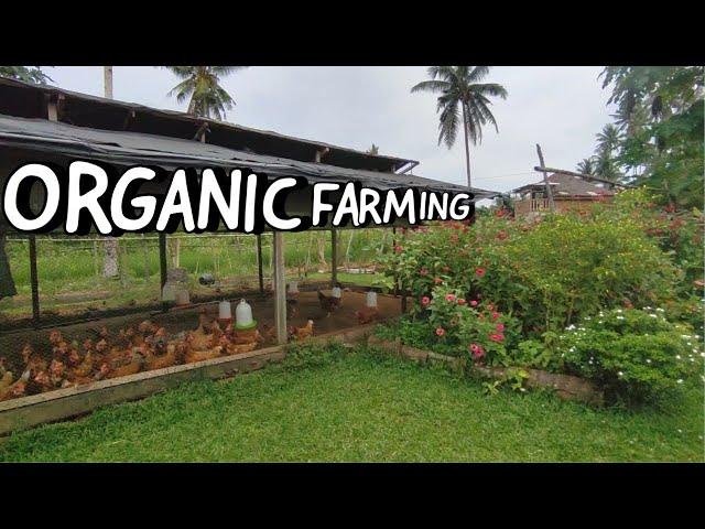 How to Start an Organic Farming Business | Things to Consider Before Starting a Farm 