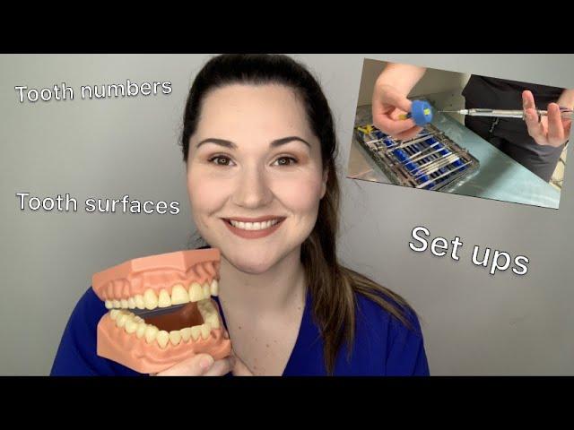 Dental assisting 101: The basics