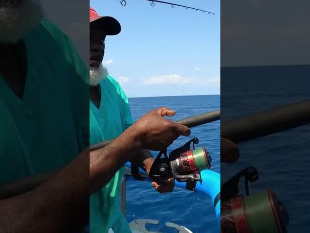 Amazing FISHING trip on the YANKEE CAPTAIN! #subscribe #fishing #bigfish