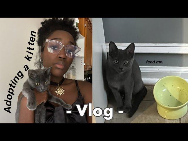 Adopting a KITTEN! (from START to FINISH) | vlog