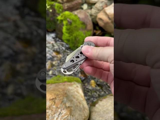 Cool little backpacking knife the Civivi Pragma#civivi #knife #knives