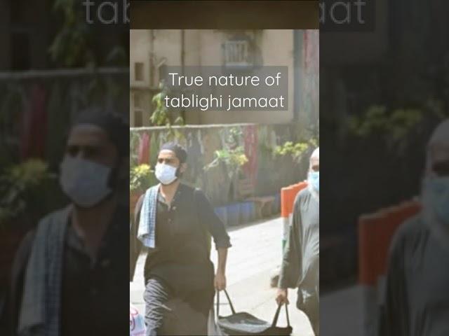 true nature of tablighi jamaat/tablighi jamaat best status video/by mufti tariq masood/best bayan️