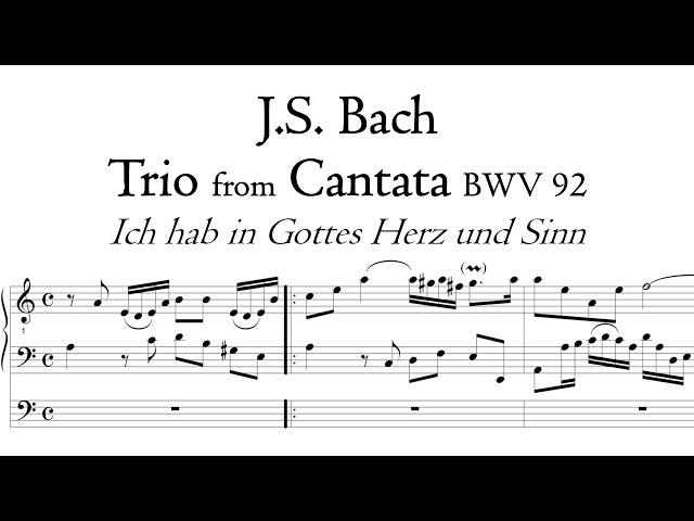 Bach - Trio from Cantata BWV 92 (organ transcription) - Metzler organ, Poblet, Hauptwerk