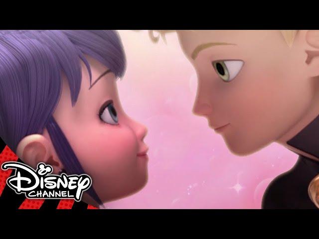 Miraculous Ladybug | Marinette the STAR  | Disney Channel UK