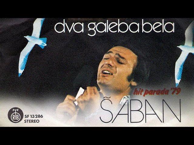 Saban Saulic - Dva galeba bela - (Audio 1979)