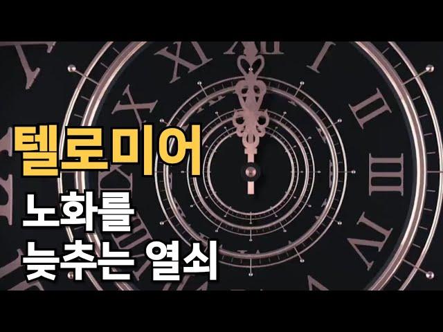텔로미어, 세포노화를 늦추는 열쇠. 스트레스와 수명 지중해식 식단의 진실