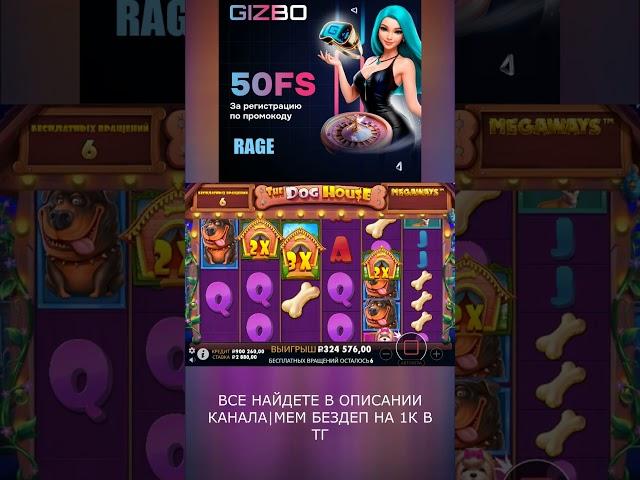 100Х ОТ СТАВКИ ЗА СПИН? СОБАКИ МОГУТ! #shorts #shortvideo #gizbo #slot #casino #lord #win #jackpot