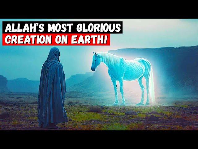 The Most  MAGNIFICENT Creature of Allah on Earth – You Won’t BELIVE What It Is