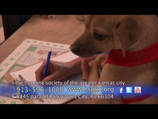 The Humane Society of Greater Kansas City - Univision Kansas City