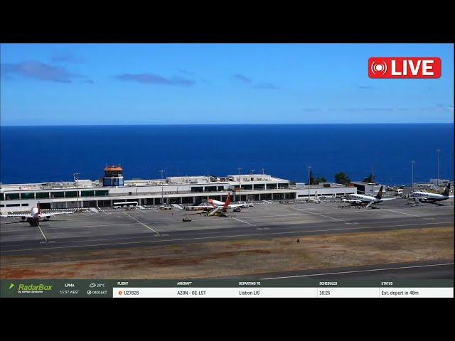 Madeira Airport Live Action Special ️ 22/08/2024