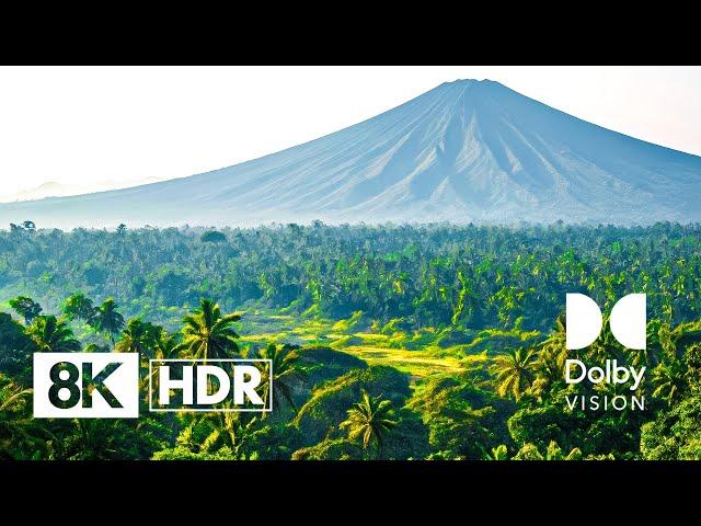 100% CLARITY Dolby Vision™ | 8K HDR 60fps