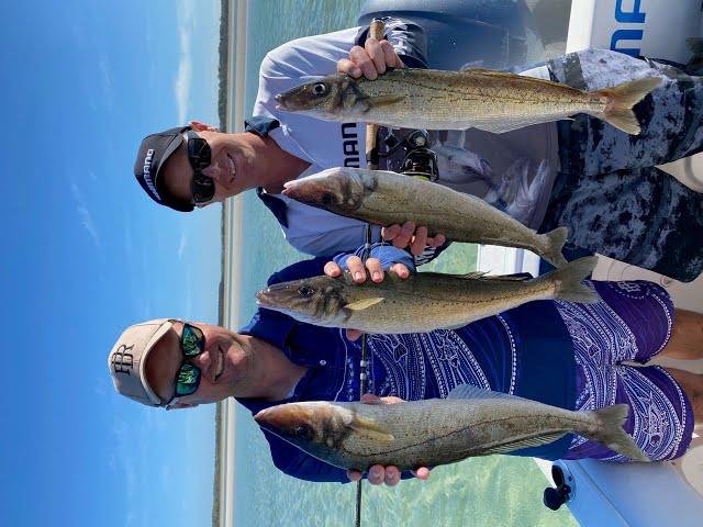 IFISH Tassie Monster King George Whiting SMITHTON