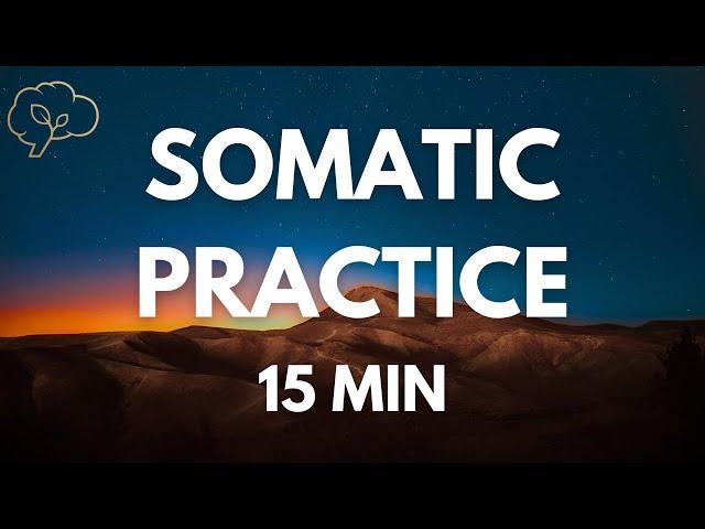 Somatic Exercises for Nervous System Regulation | 15 Min Guided